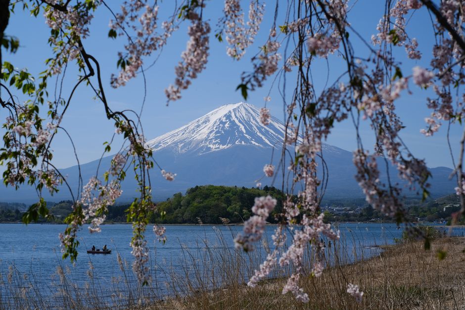 Kawaguchiko : autre vue du Fuji