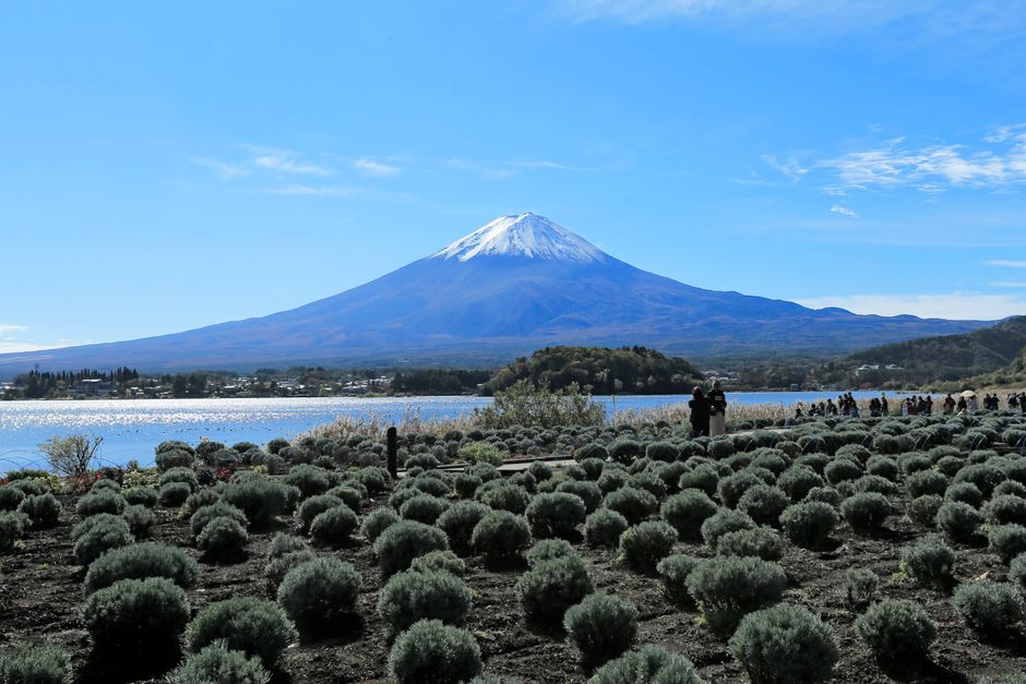 Shizuoka : préfecture voisine