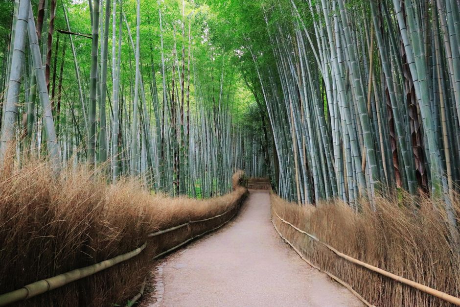 Tourisme durable au Japon
