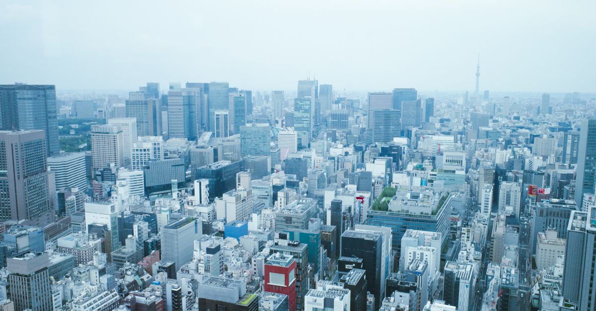 Buildings in a large city seen from above through the mist