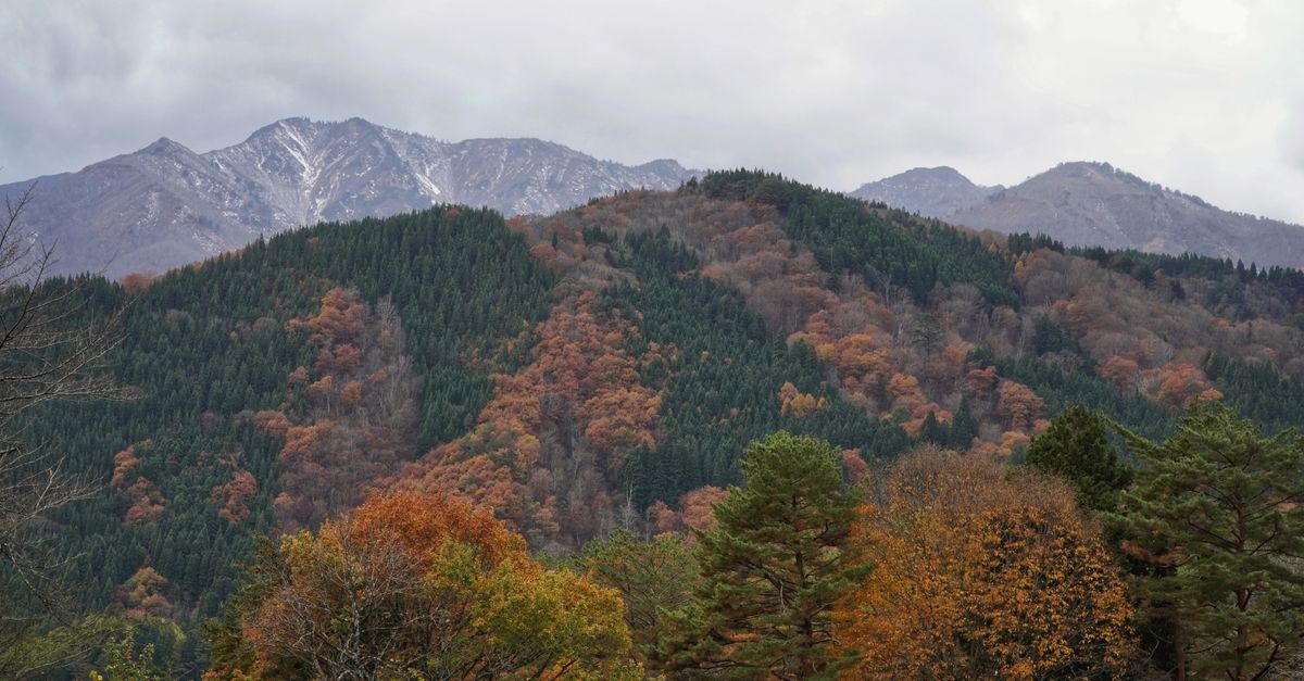 explorez les alpes japonaises : découvrez leurs paysages spectaculaires, villages traditionnels, sentiers de randonnée et conseils pratiques pour organiser votre voyage.