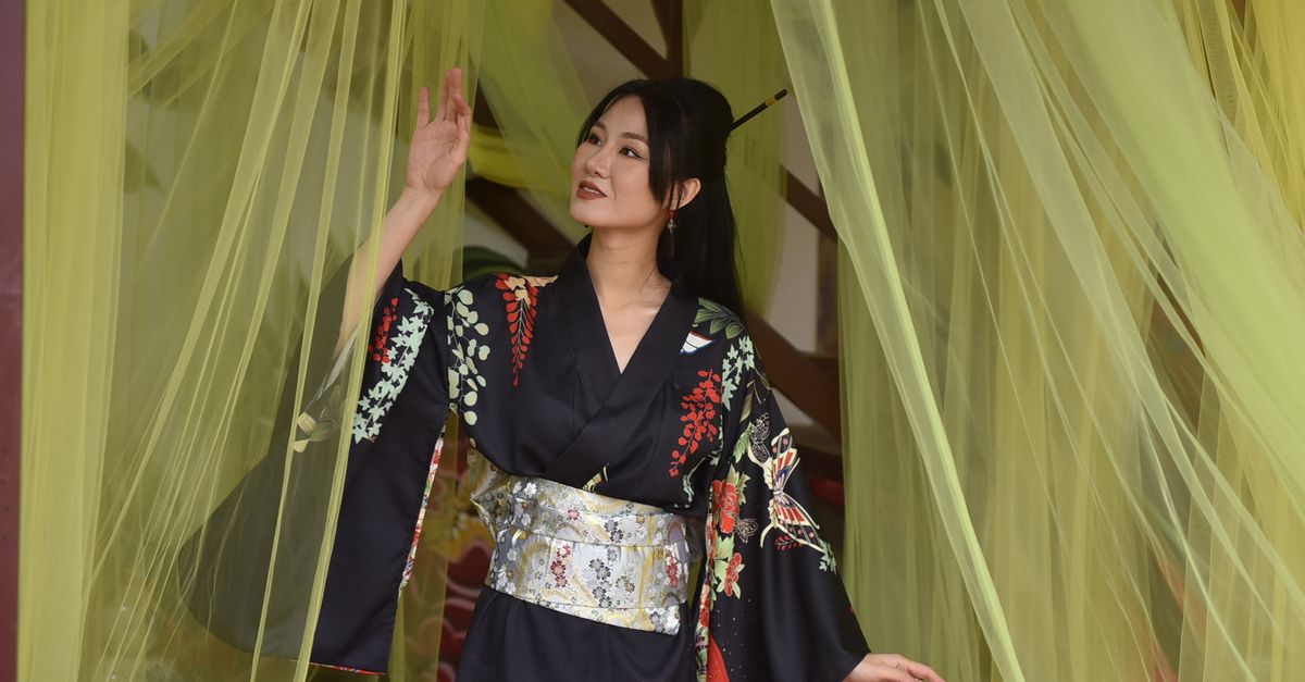 Woman in a black kimono with floral patterns and a silver obi belt, in front of yellow-green veils