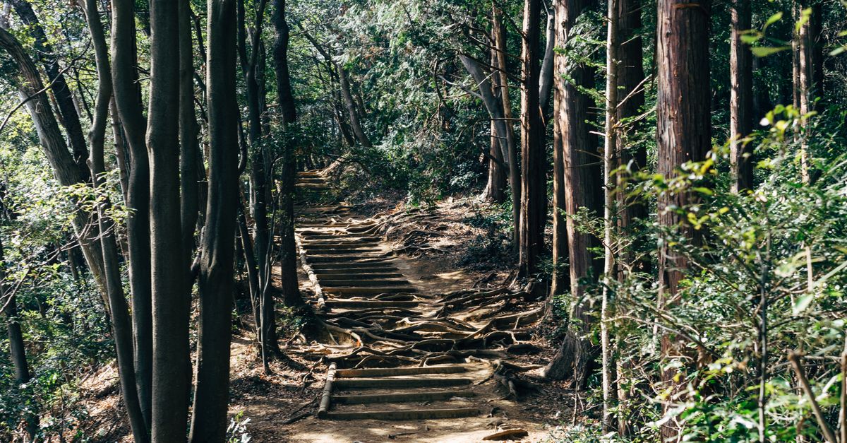 Prepare your Kumano Kodo pilgrimage: discover the trails, shrines, stages and practical advice for organising your trip.
