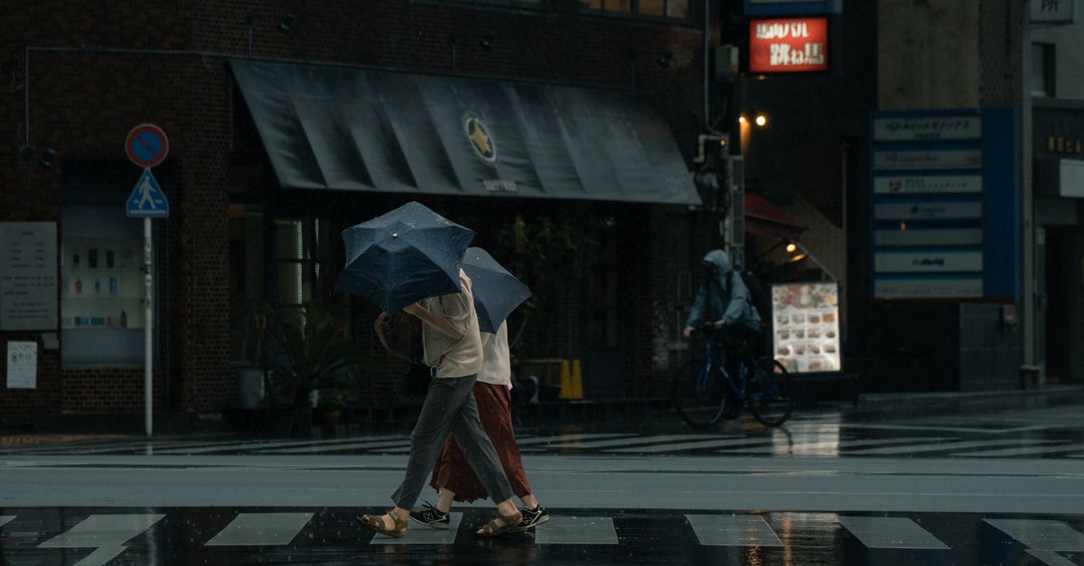 découvrez la météo à tokyo mois par mois : températures, précipitations et meilleures périodes pour organiser votre voyage.