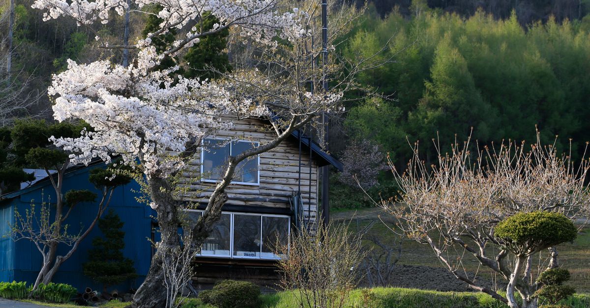 Assurance habitation au Japon : protéger son domicile