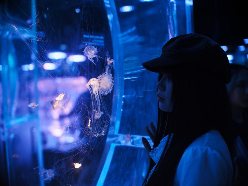 Aquarium Kaiyukan Osaka : guide complet