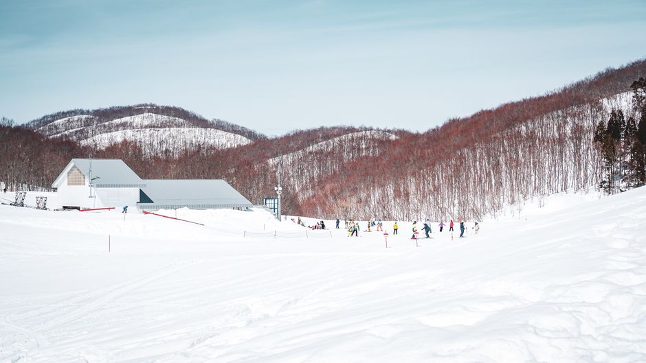 Ski et neige au Japon : guide complet
