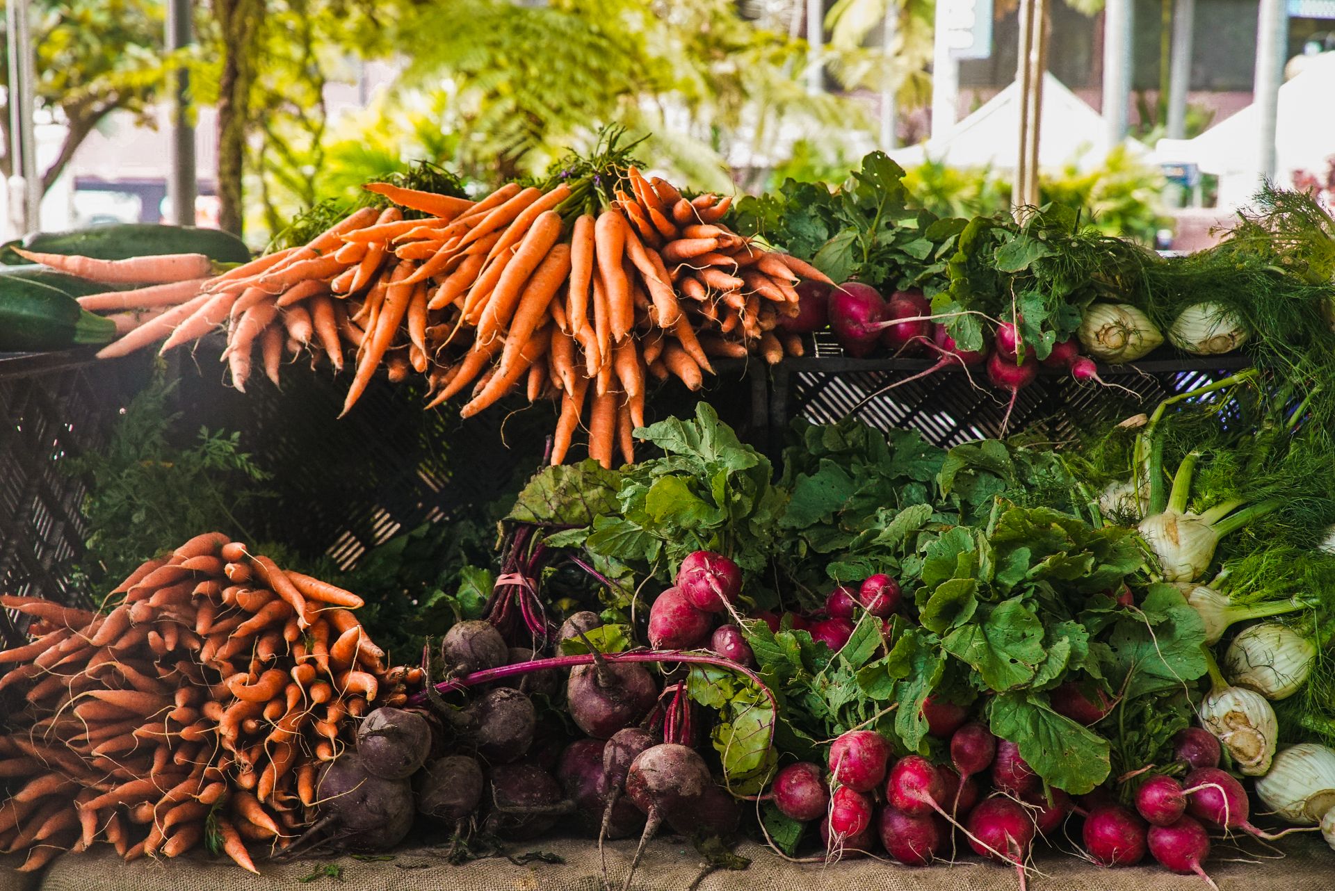 Légumes frais japonais
