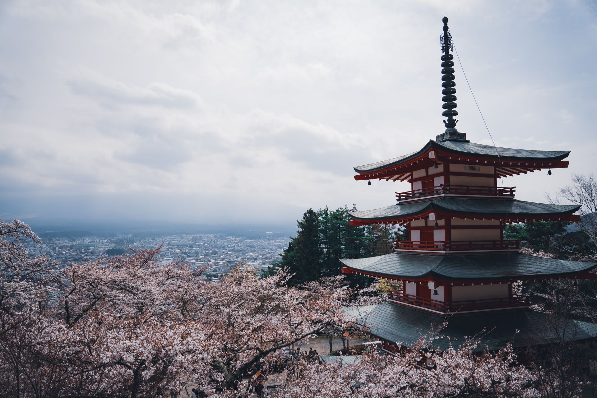 Festival Matsuri