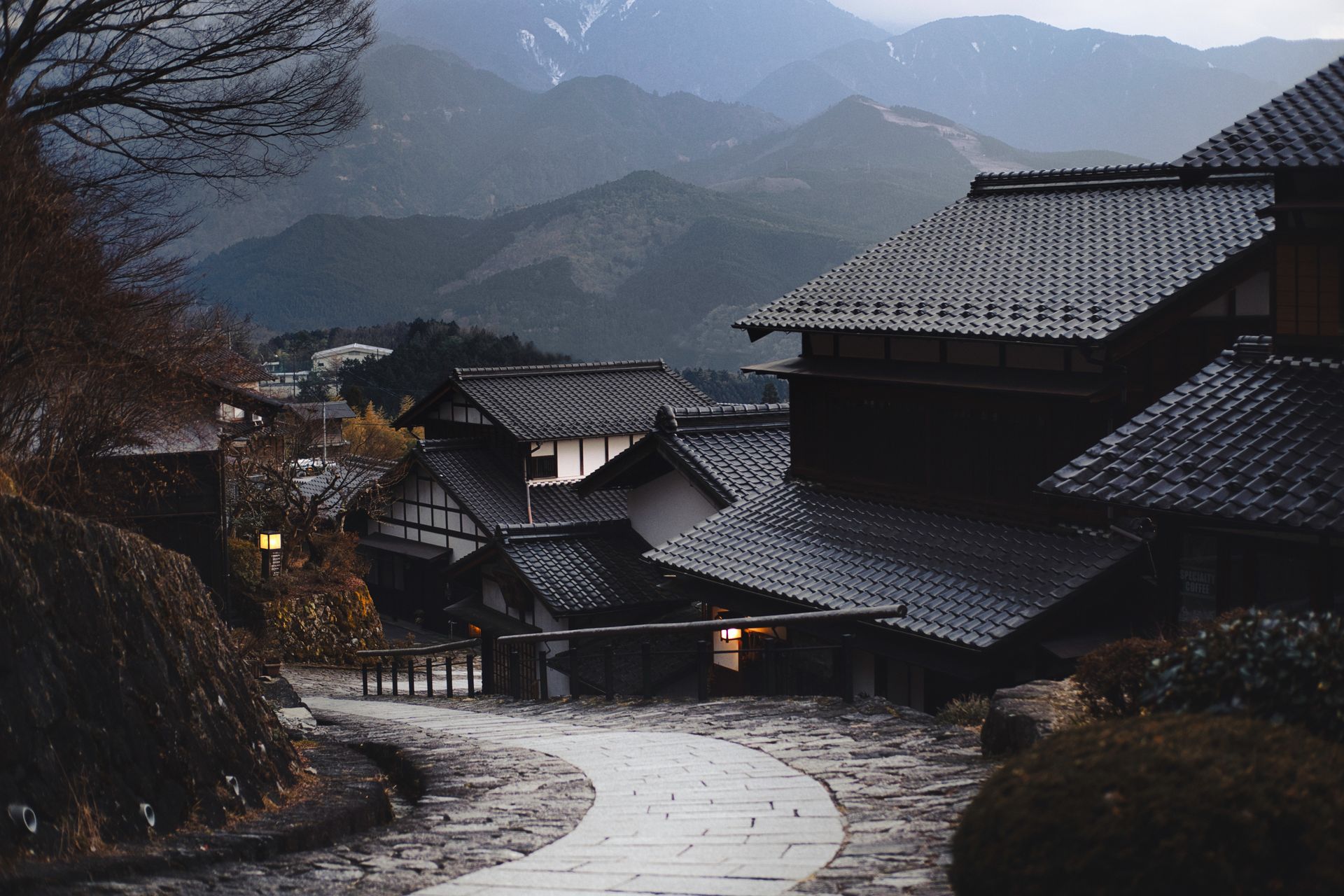École japonaise sous les cerisiers