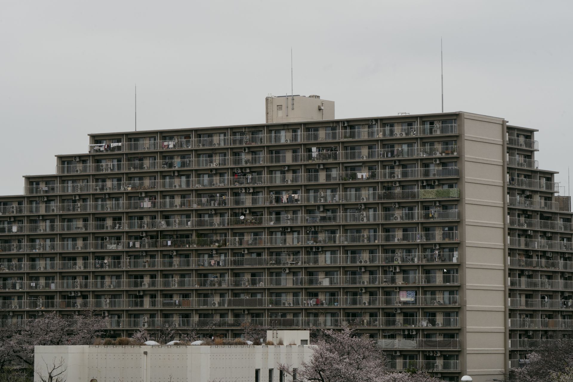 Immeubles résidentiels dans un quartier de Tokyo au crépuscule