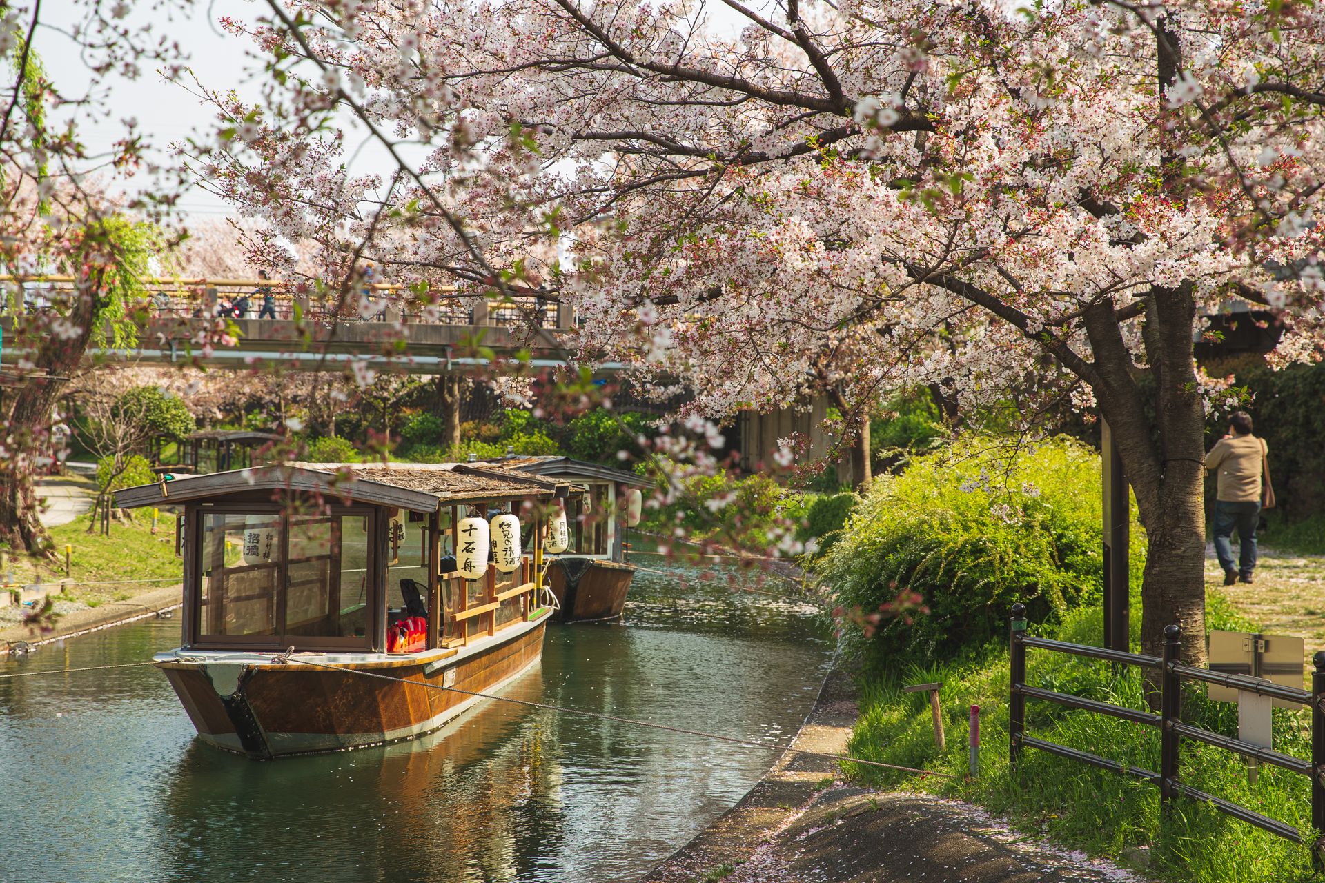Parc japonais