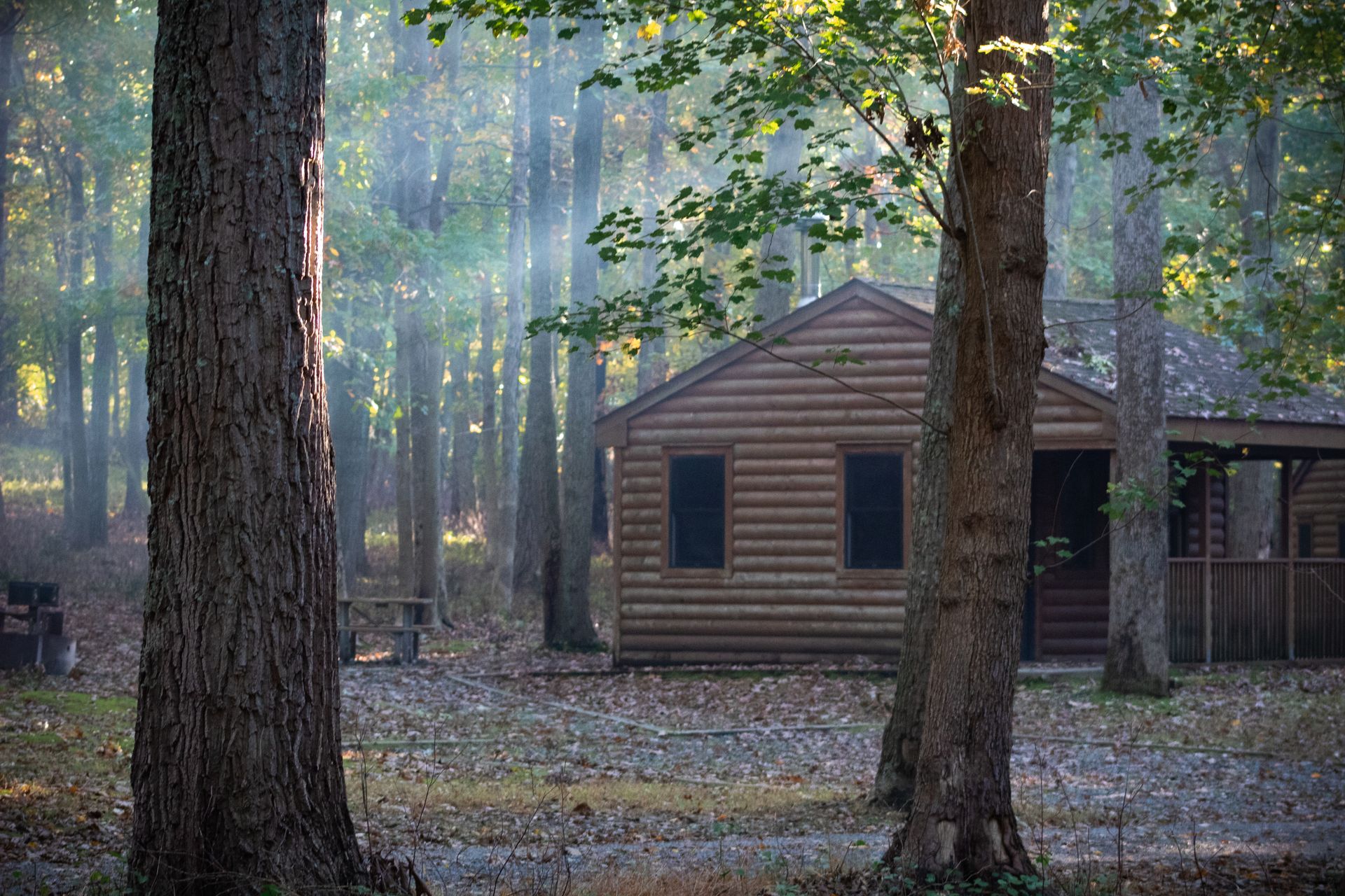 Cabane
