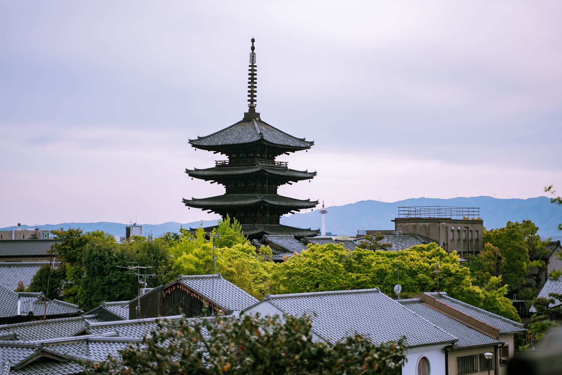 Kyoto Zen Garden